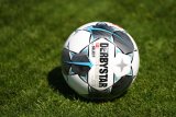29.06.2019 - 1. Fussball Bundesliga, TSG 1899 Hoffenheim, Trainingsauftakt, Saison 2019/2020