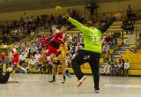 30.08.2014 - Handball 3. Liga, SG Leutershausen - SG Koendringen/Teningen