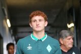 24.08.2019 - 1.Fussball  Bundesliga, TSG 1899 Hoffenheim - SV Werder Bremen