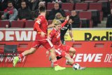 08.11.2019 - 1.Fussball  Bundesliga, 1. FC Koeln - TSG 1899 Hoffenheim