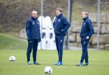 31.01.2017 - 1.Fussball Bundesliga, TSG 1899 Hoffenheim - Training