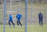 08.02.2017 - 1.Fussball Bundesliga, TSG 1899 Hoffenheim - Training