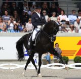 17.07.2011 - Reitsport, Weltfest des Pferdesports - World Equestrian Festival - CHIO Aachen 2011