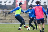24.01.2017 - 1.Fussball Bundesliga, TSG 1899 Hoffenheim - Training